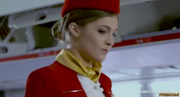 Пилот трахает стюардессу во время рейса в писюху