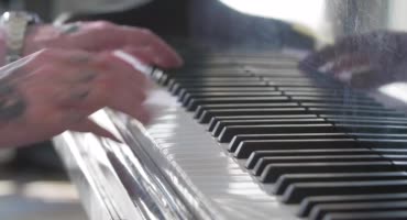 Самочка никогда не сможет научиться играть на пианино